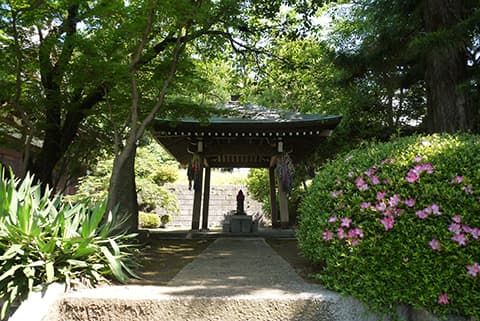 本堂の右手にお祀りされています。自身の悪い所や痛む所等を磨くことにより、治癒することができると古来より信仰されてきました。