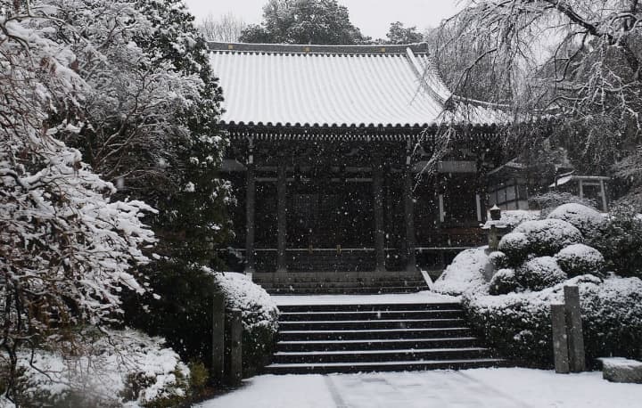 冬