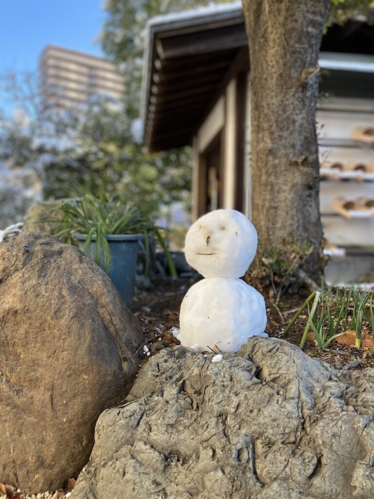 雪！