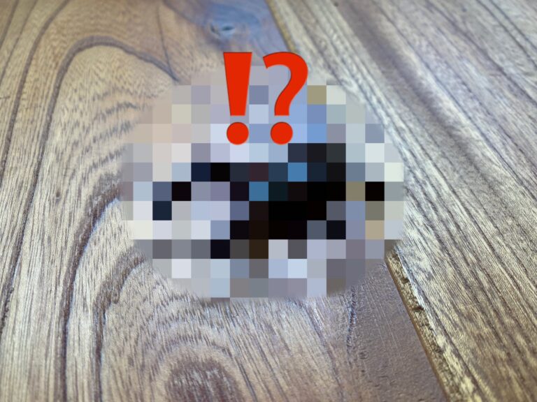 本堂に現れた黒い物体！